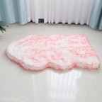 Cozy Plush Dog Mat