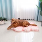 Cozy Plush Dog Mat