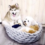 Solid color core-filled cotton woven pet nest