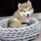 Solid color core-filled cotton woven pet nest