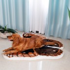 Butterfly Wing Dog Mat