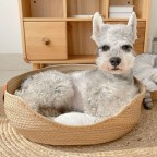 Natural Elegance Woven Pet Bed